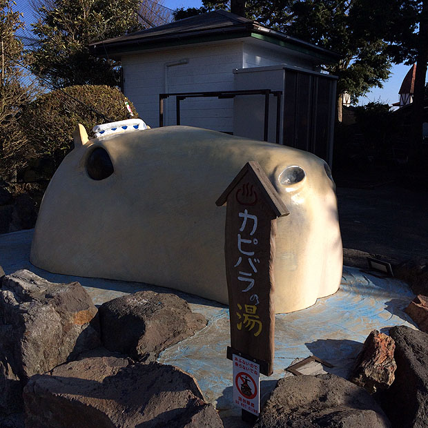 f:id:globalhead:20150112162727j:image