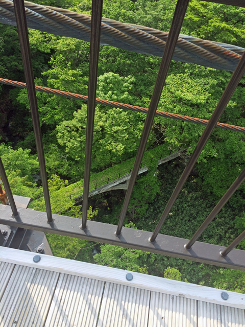 f:id:globalhead:20150615205538j:image f:id:globalhead:20150615205538j:image