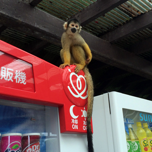 f:id:globalhead:20150831212129j:image
