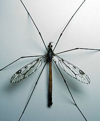 f:id:globalhead:20150929142045j:image f:id:globalhead:20150929142045j:image