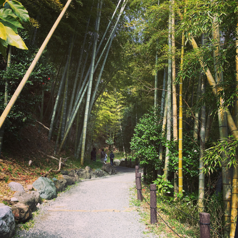 f:id:globalhead:20160306201508j:image f:id:globalhead:20160306201508j:image