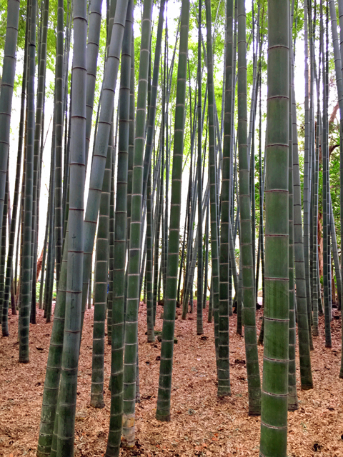 f:id:globalhead:20160306202543j:image f:id:globalhead:20160306202543j:image