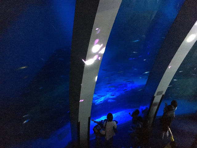 f:id:globalhead:20160507120129j:image