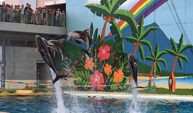 f:id:globalhead:20160507120130j:image