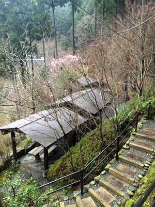 f:id:globalhead:20170410220838j:image