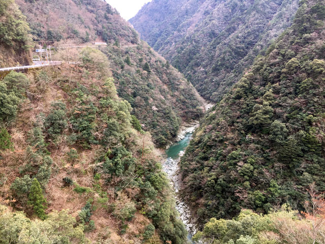 f:id:globalhead:20170411211701j:image f:id:globalhead:20170411211701j:image