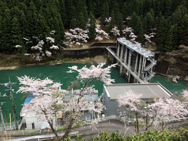 f:id:globalhead:20170411212516j:image f:id:globalhead:20170411212516j:image