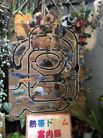 f:id:globalhead:20180329214515j:plain