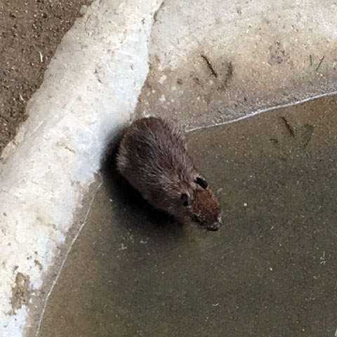 f:id:globalhead:20180329215223j:plain