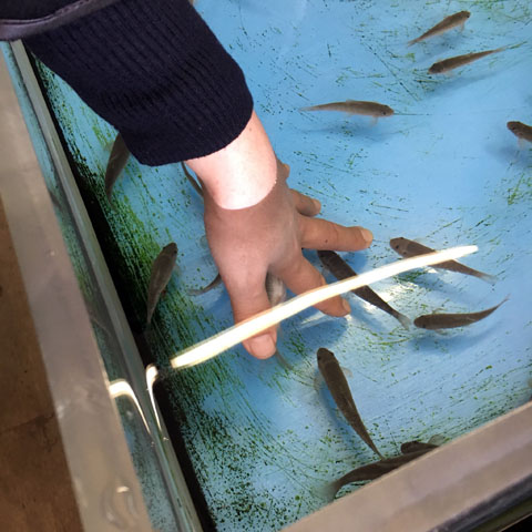 f:id:globalhead:20180329222610j:plain