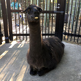 f:id:globalhead:20180506201904j:plain