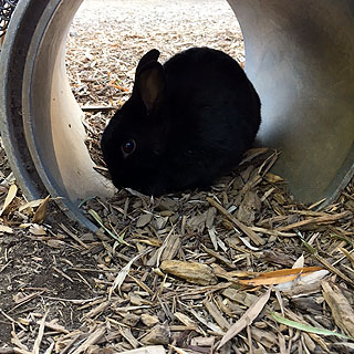 f:id:globalhead:20180506201920j:plain