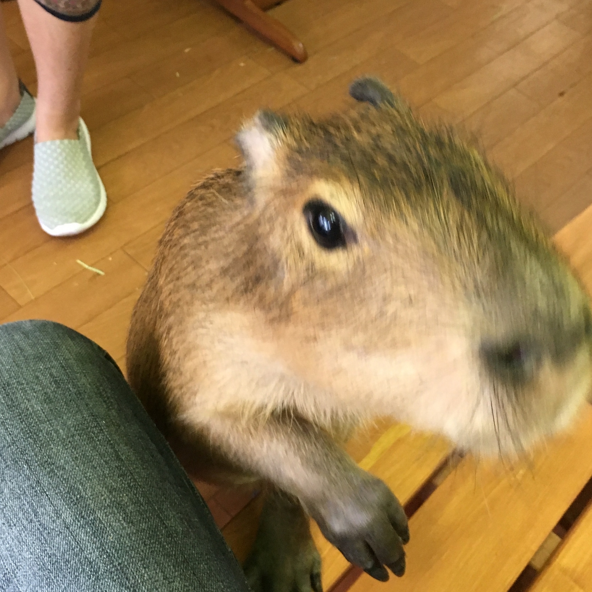 f:id:globalhead:20180715142309j:plain