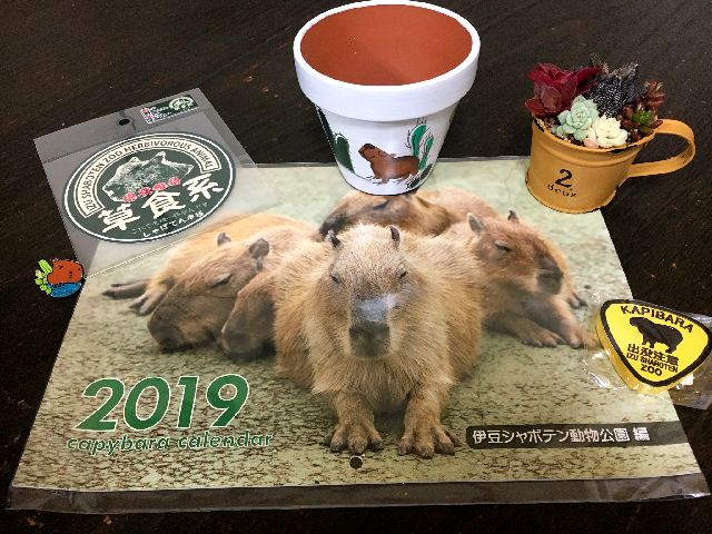 f:id:globalhead:20190103140907j:plain