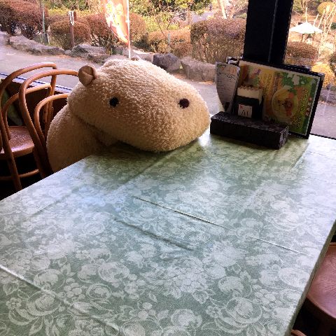 f:id:globalhead:20190103143127j:plain