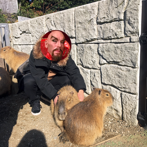 f:id:globalhead:20190104183343j:plain