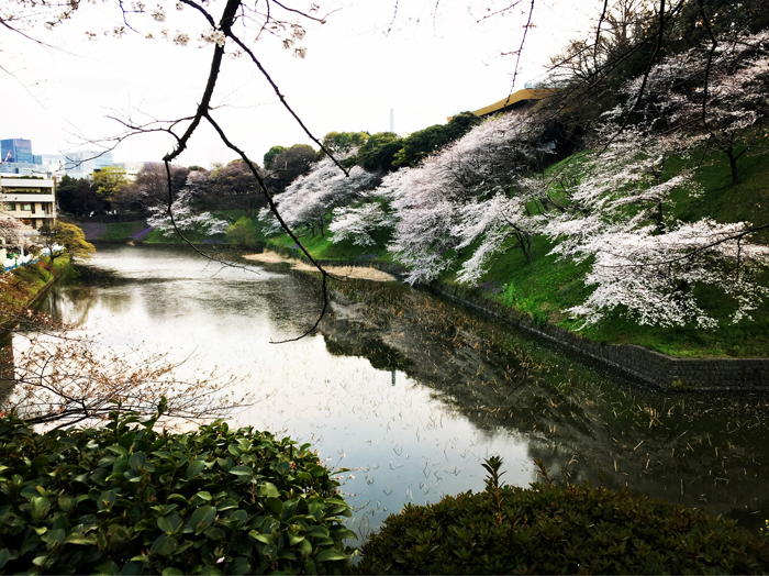 f:id:globalhead:20190405002939j:plain