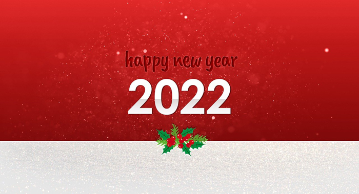 f:id:globalhead:20211231121214j:plain
