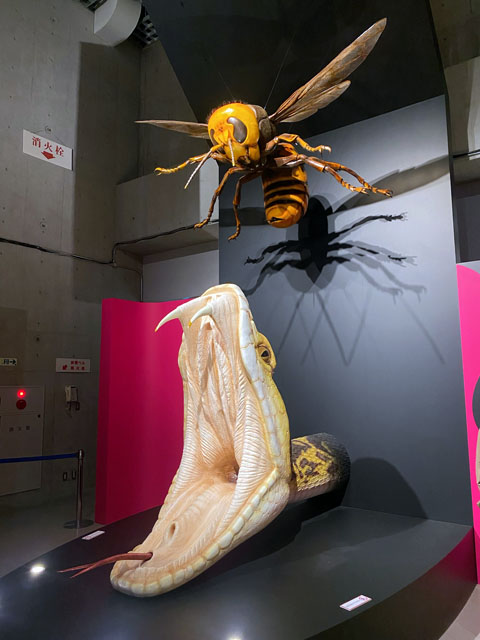 国立科学博物館に特別展『毒』を観に行った - メモリの藻屑