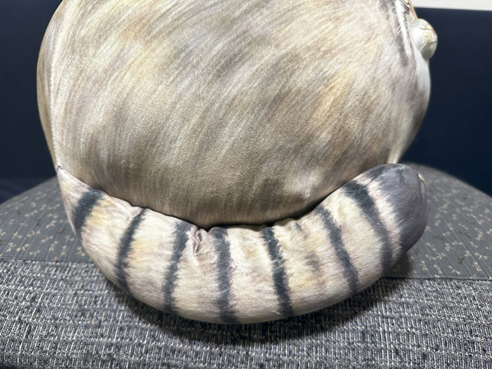 マヌルモフモフ マヌルネコクッションでモフモフ！タヌキぬいぐるみでさらに