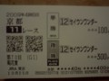 セイウンワンダー単複