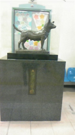 20100807182246