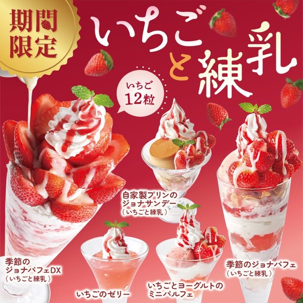 イチゴパフェ様】105版 帝国データバンク会社年鑑 2025年 イチゴパフェ