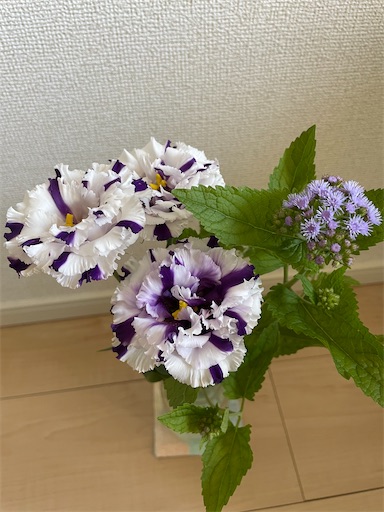 f:id:gloriouszombie:20210824142926j:plain