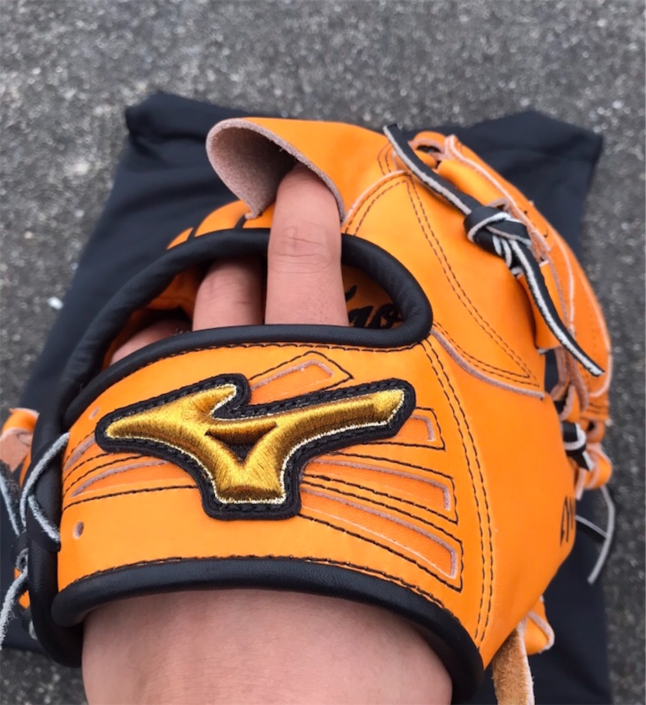 超目玉 ミズノプロ オーダー 旧ランバードマーク | www.birbapet.it