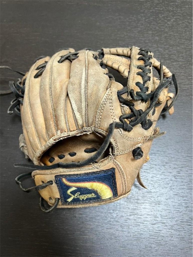 f:id:glove89:20250419110219j:image