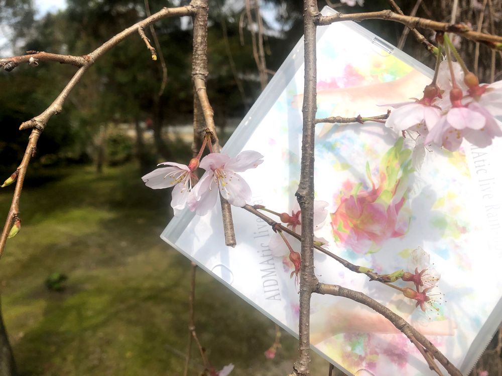 魅力再発見 Aidmatic Live Rain Bow 対談企画 運命よそこをどけ オレが通る Glow Defective Soldier S Official Blog