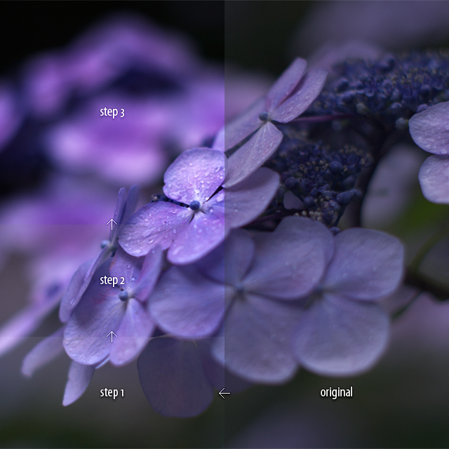 f:id:glpgsinc:20110623232357j:image:w320 f:id:glpgsinc:20110623232357j:image:w320