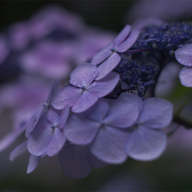 f:id:glpgsinc:20110623232359j:image f:id:glpgsinc:20110623232359j:image