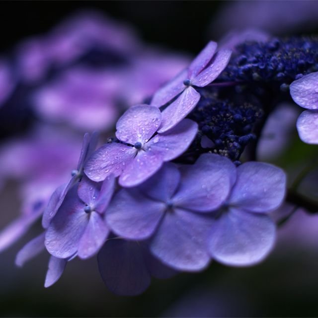 f:id:glpgsinc:20110623232403j:image:w320 f:id:glpgsinc:20110623232403j:image:w320