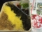 かしわめし 駅弁