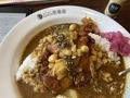 ローストチキンスパイシーマサラカレー@CoCo壱番屋