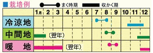 f:id:gmdatwgt:20210828222704p:plain