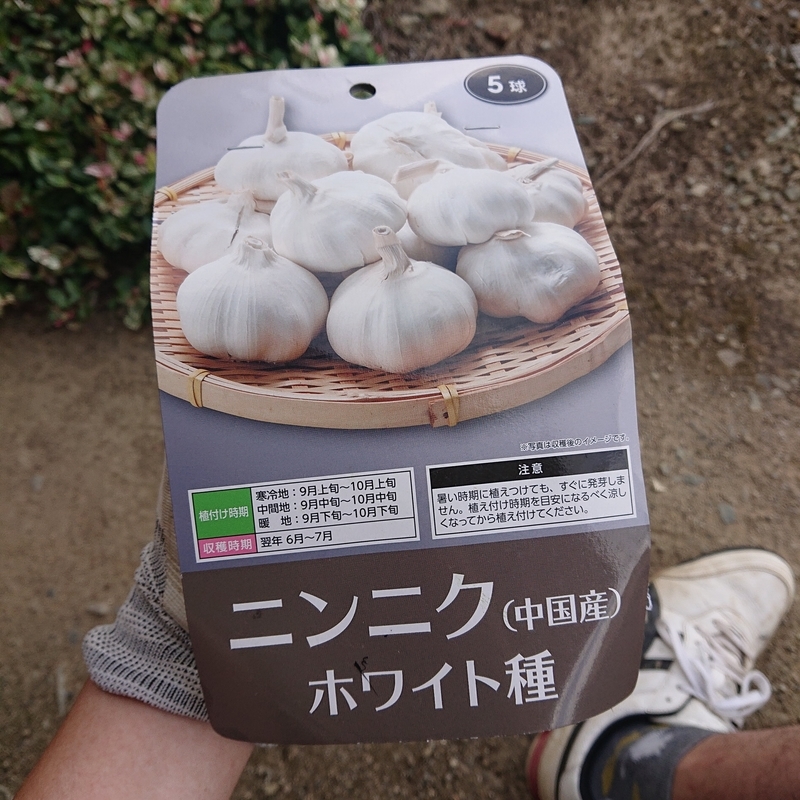 f:id:gmdatwgt:20211002222716j:plain
