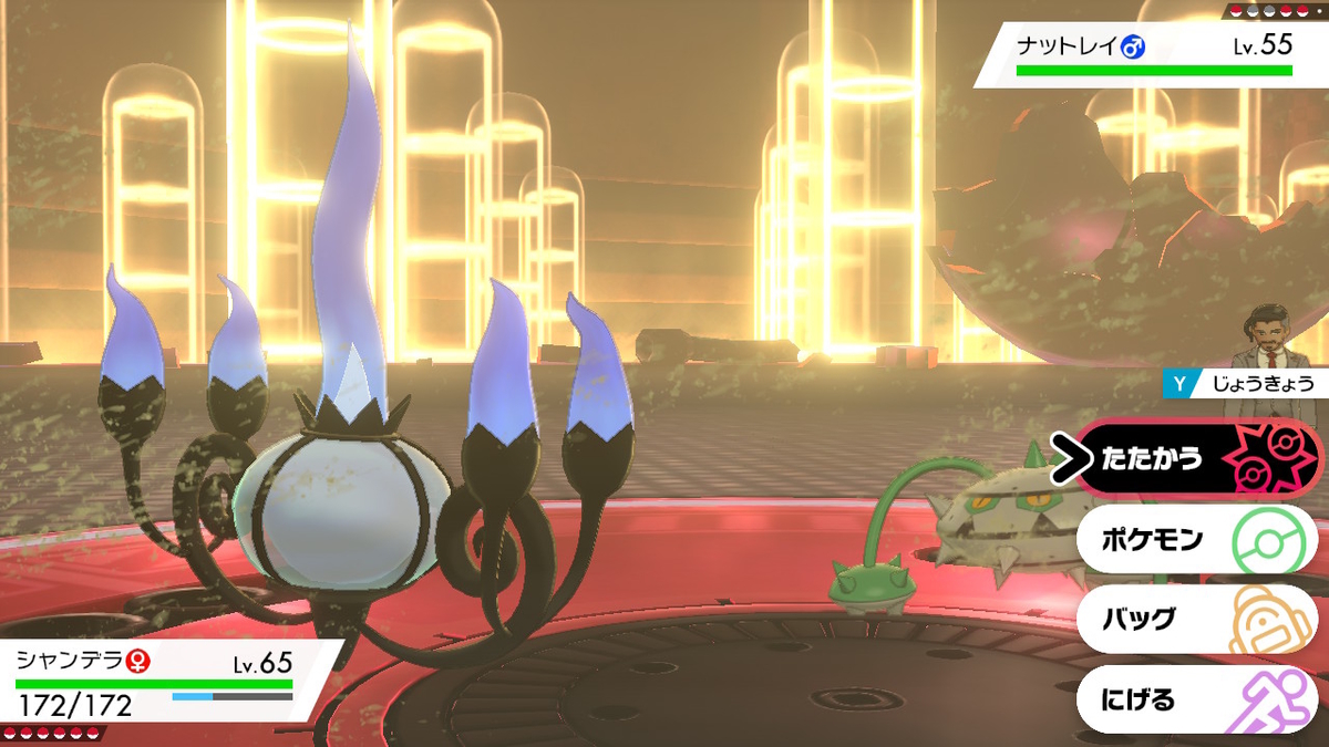 f:id:gmmacco:20200103173226j:plain f:id:gmmacco:20200103173226j:plain