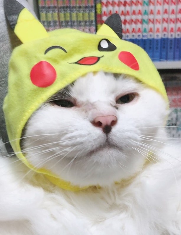f:id:gmtrth:20190601231057j:plain
