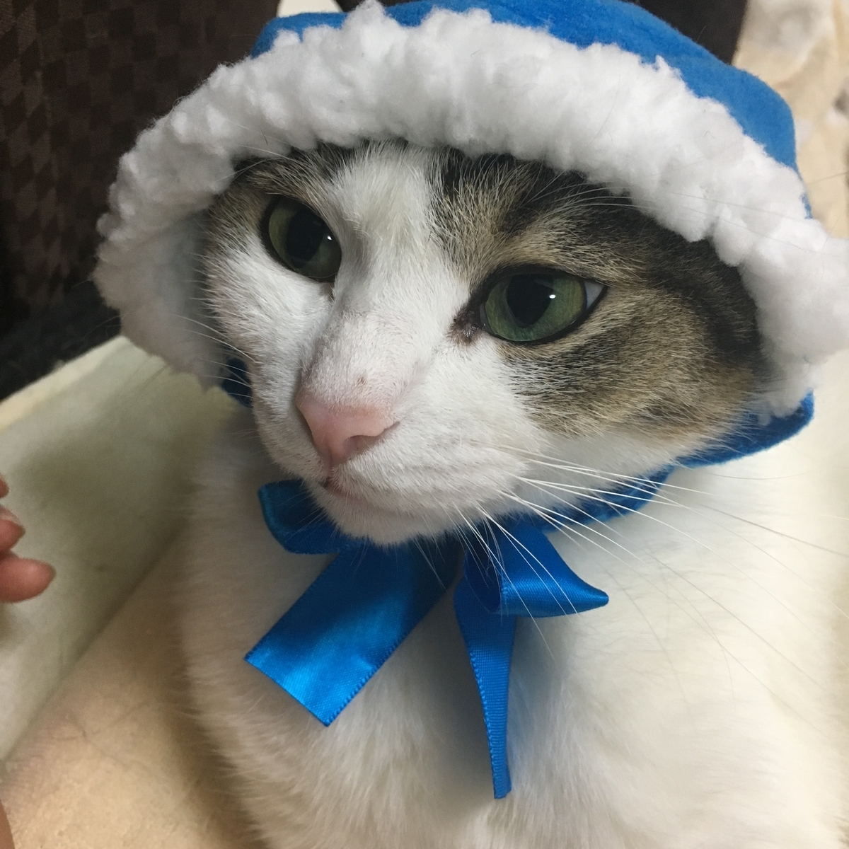 f:id:gmtrth:20190826010613j:plain