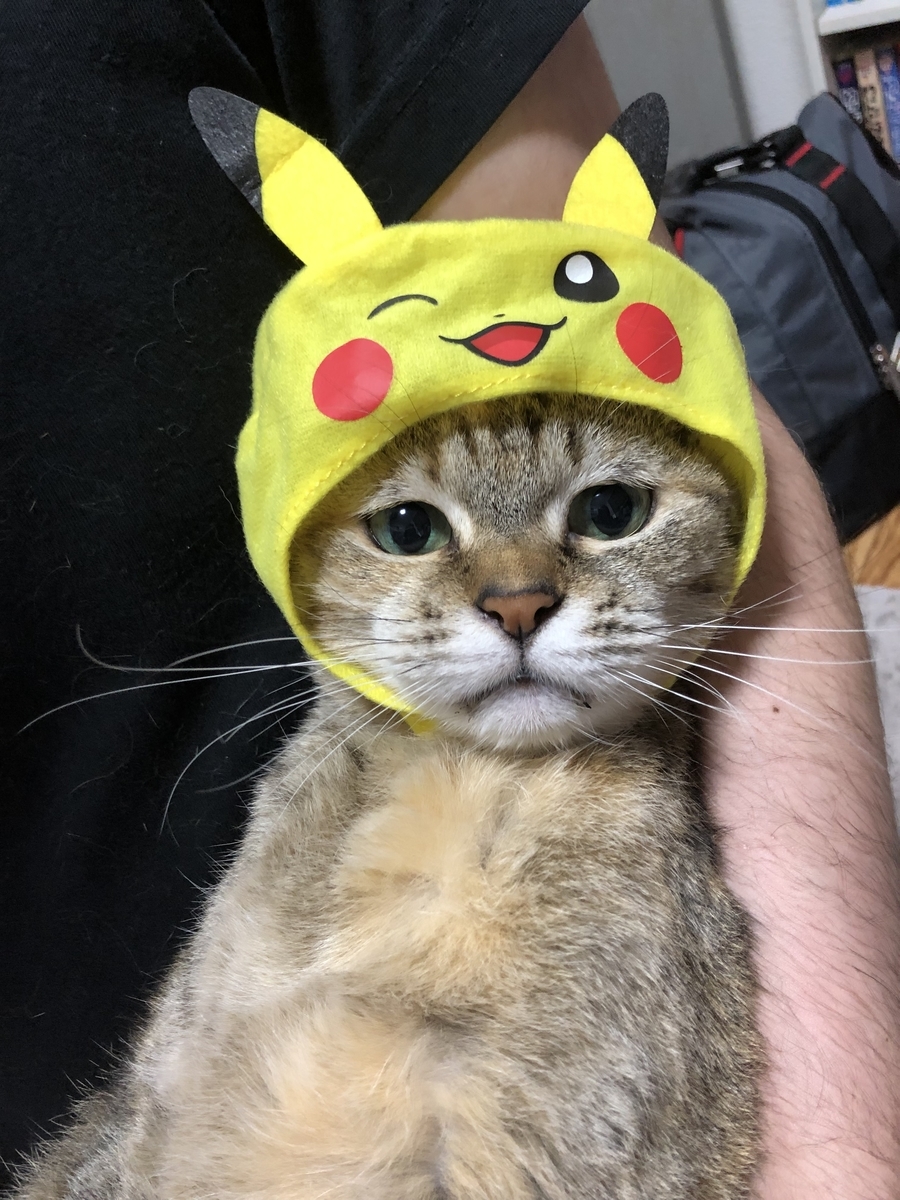 f:id:gmtrth:20190826010837j:plain