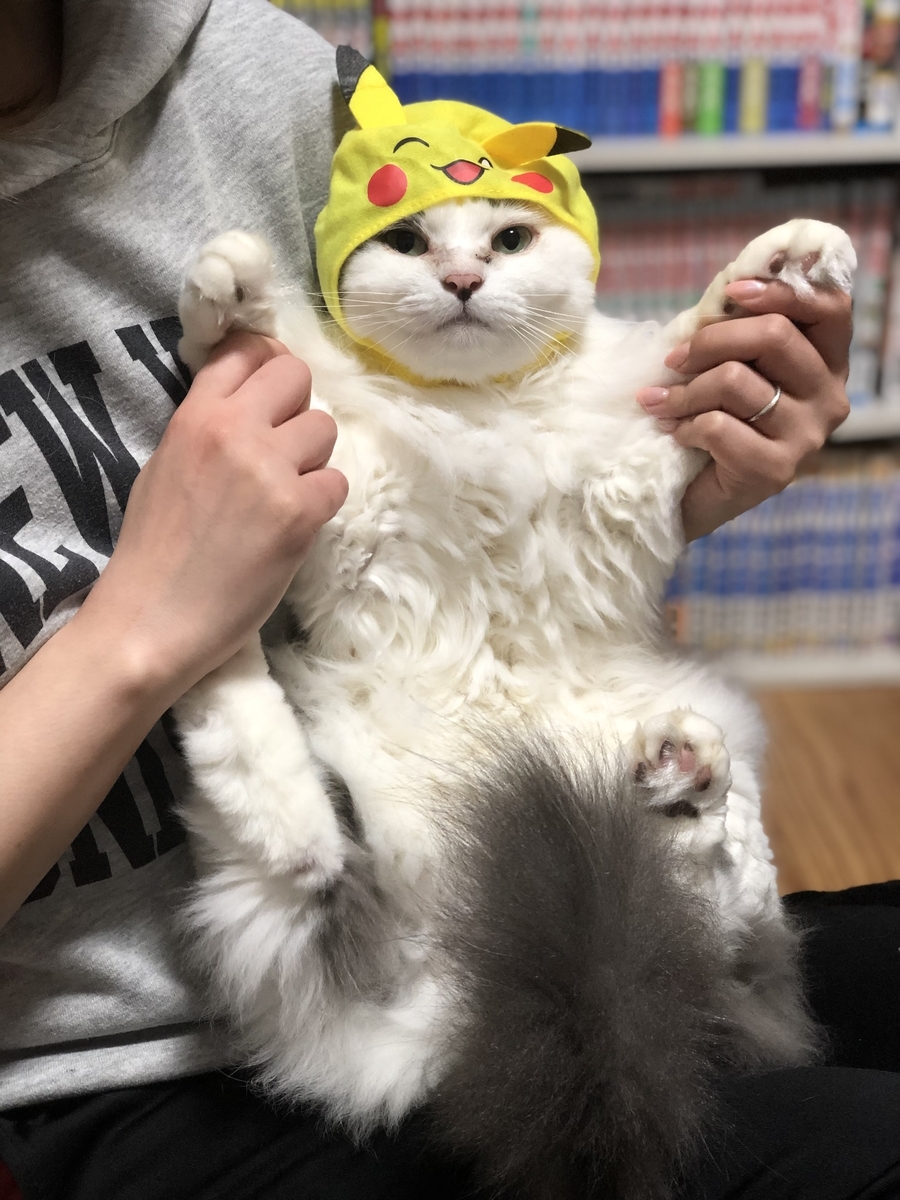 f:id:gmtrth:20190826010953j:plain