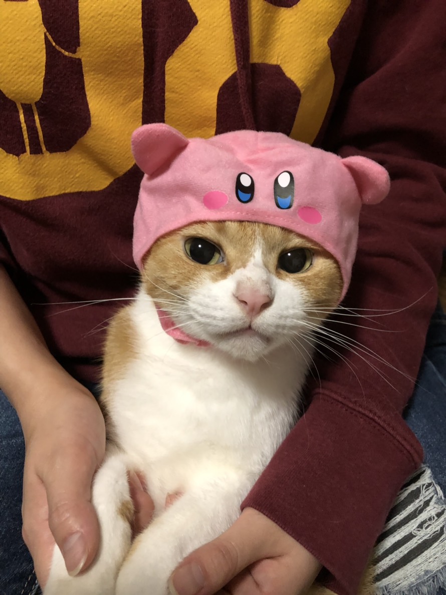 f:id:gmtrth:20190826011029j:plain