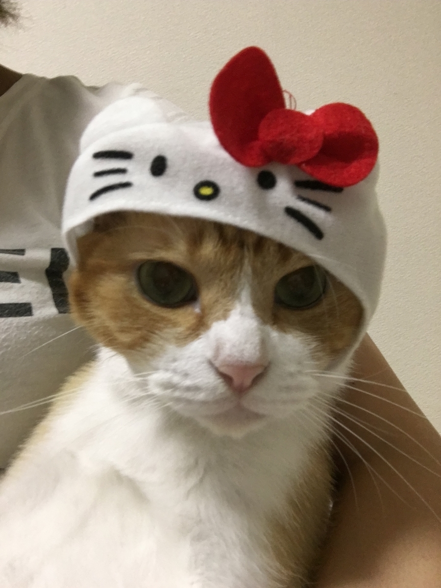 f:id:gmtrth:20190826011318j:plain