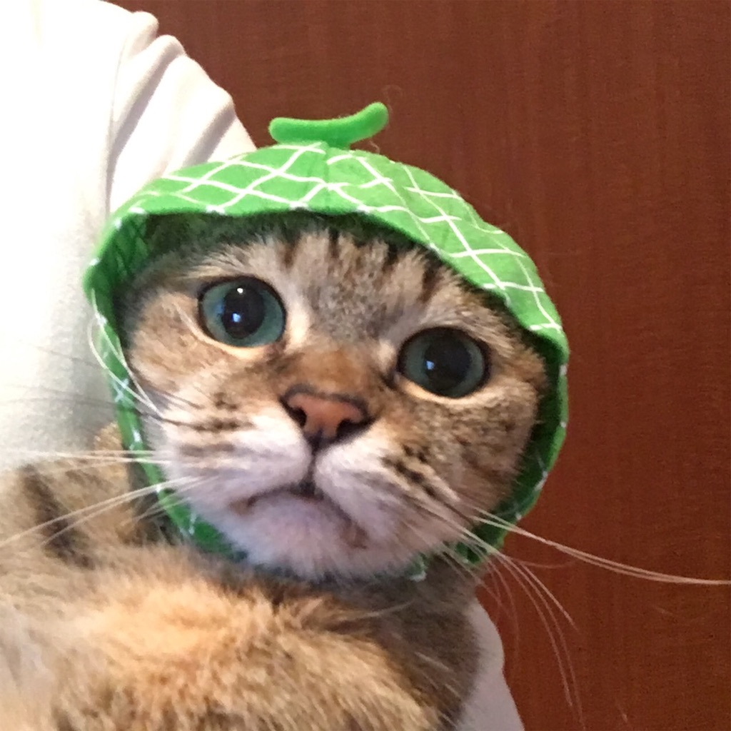 f:id:gmtrth:20191031123828j:image