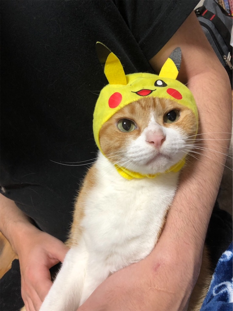 f:id:gmtrth:20191031123846j:image