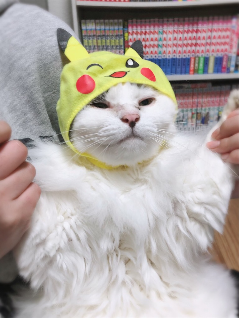 f:id:gmtrth:20191031124021j:image