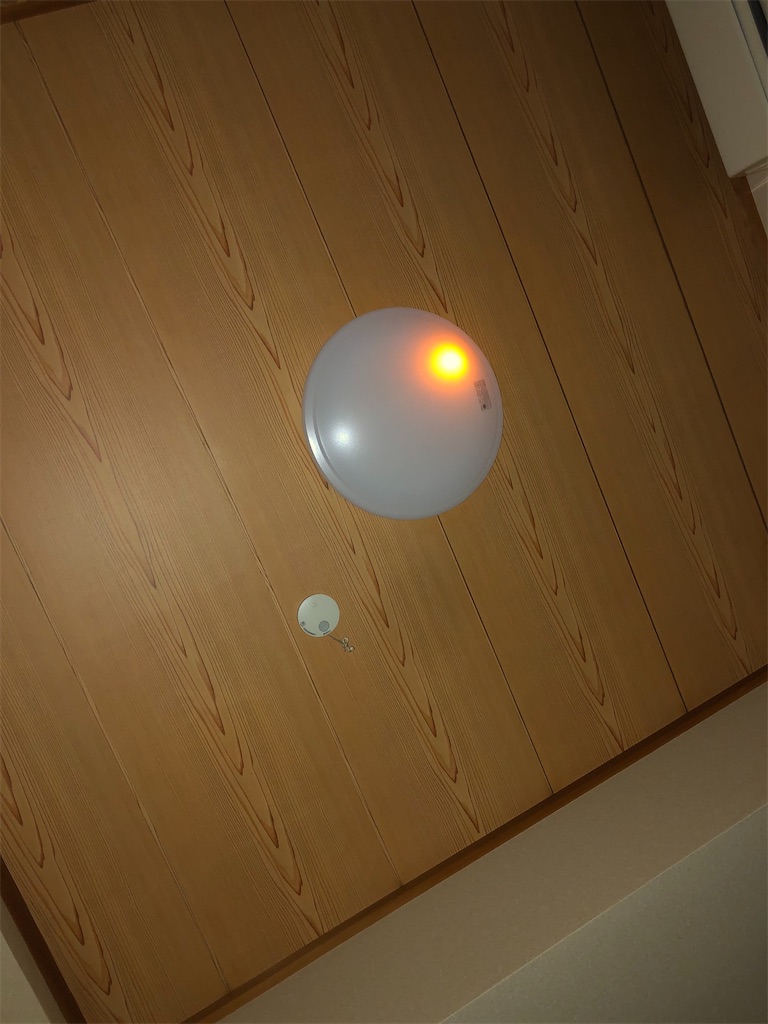 f:id:gn23u:20210220140911j:image