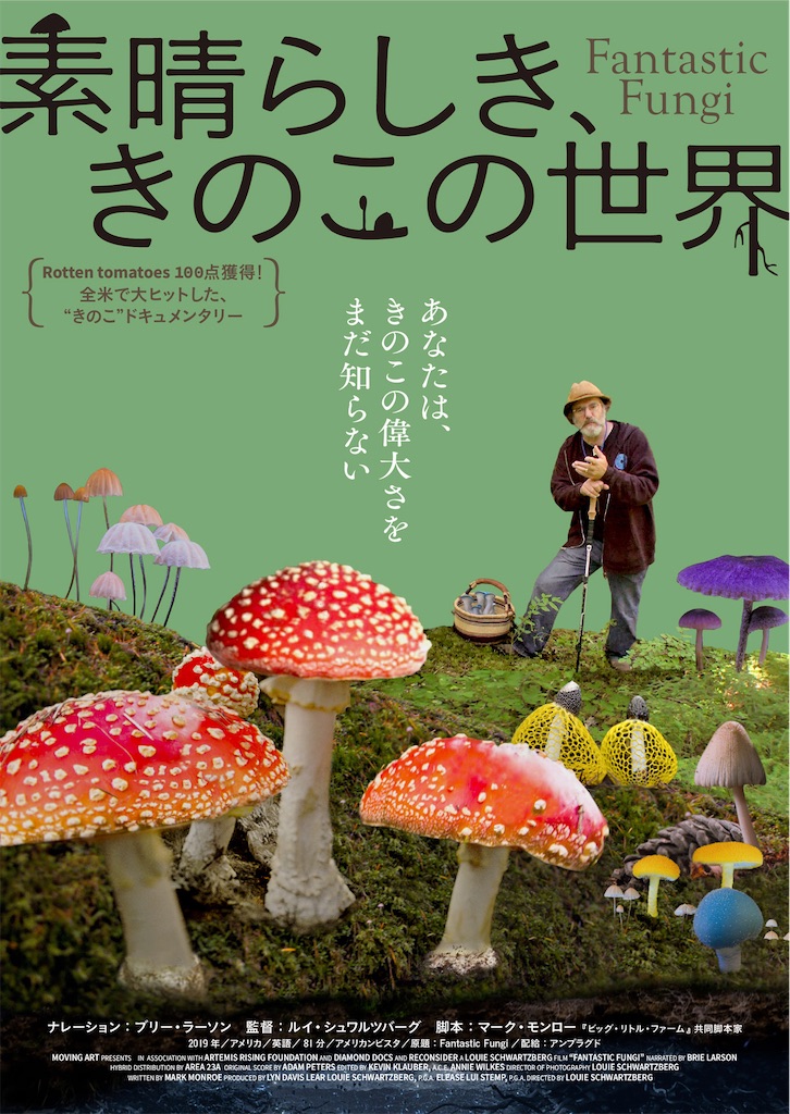 f:id:gn23u:20210914170813j:image